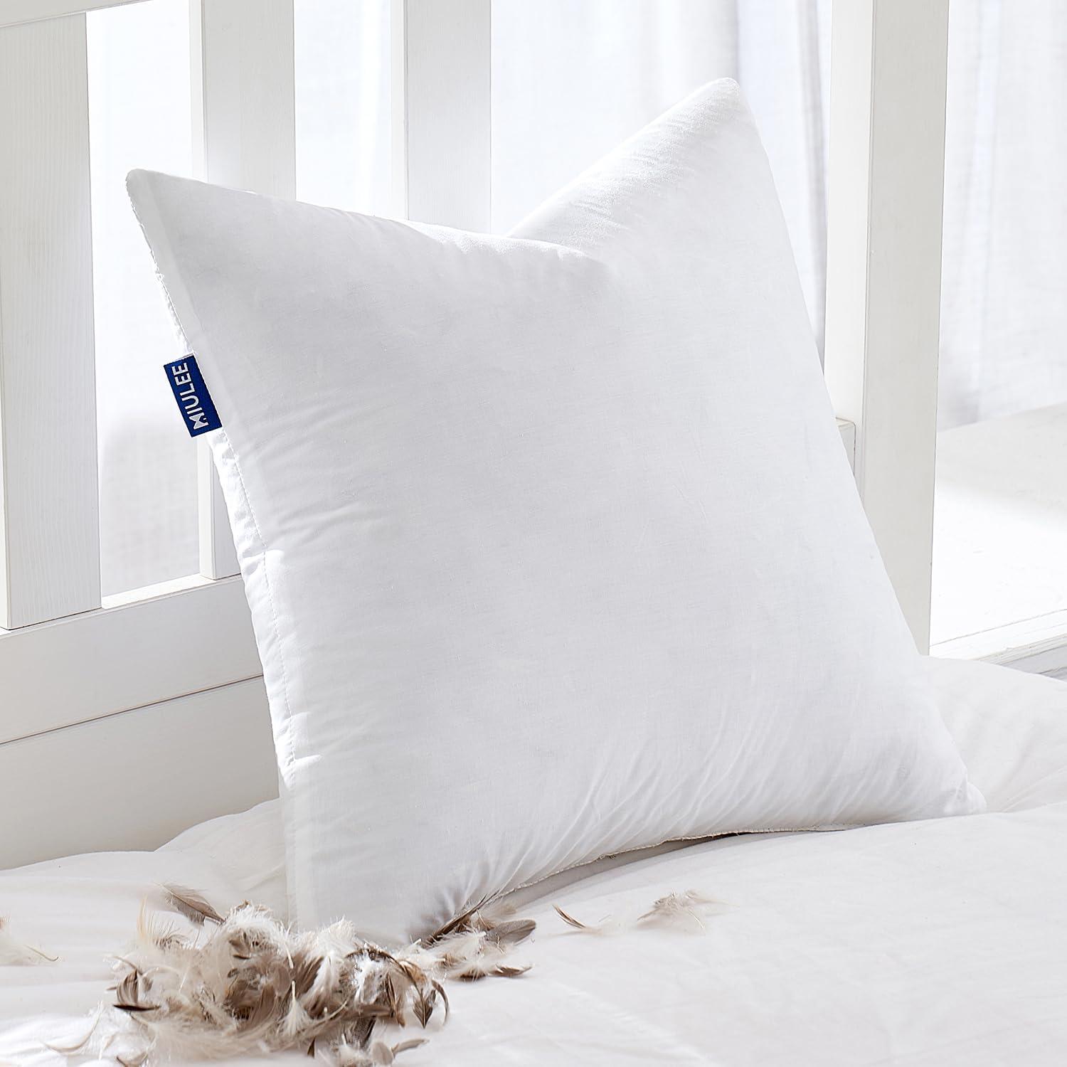 imageMIULEE 26x26 Euro Pillow InsertsSet of 2 Down Feather Throw Pillows for Couch Sofa Bed Decorative Fluffy Throw Pillow Inserts Cotton FabricWhite1