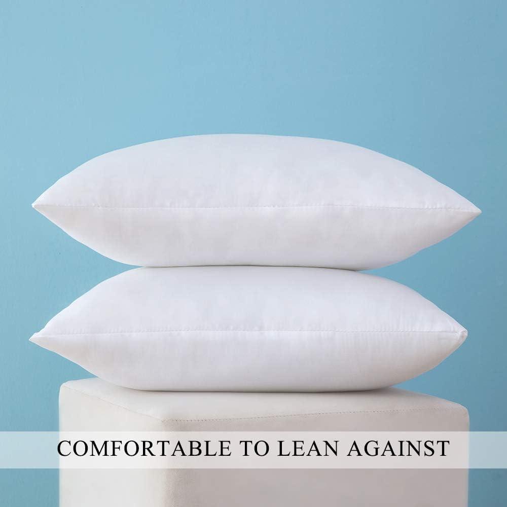 imageMIULEE Set of 2 Throw Pillow Inserts Premium Pillow Stuffer Rectangle Form for Decorative Cushion Bed Couch Sofa 12x20 InchPolyester