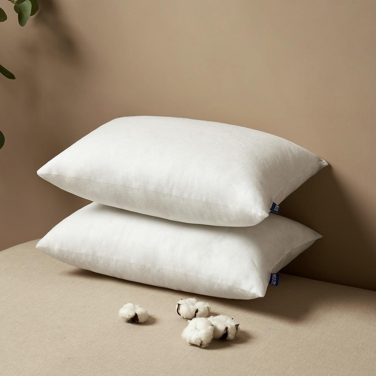 imageMIULEE Set of 2 Throw Pillow Inserts Premium Pillow Stuffer Rectangle Form for Decorative Cushion Bed Couch Sofa 12x20 InchPolyester