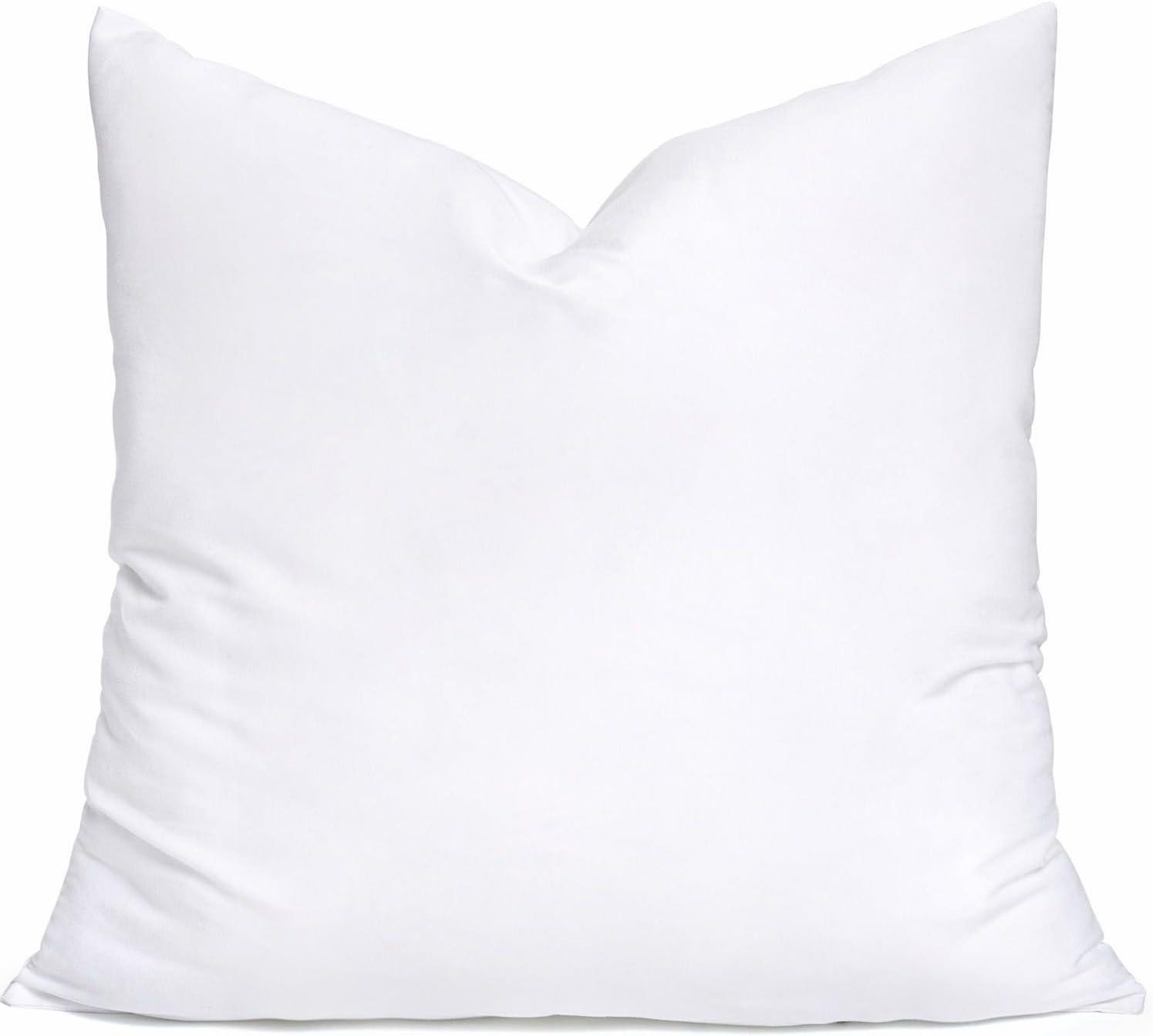 imageMIULEE Throw Pillow Insert Premium Pillow Stuffer Sham Rectangle for Decorative Cushion Bed Couch Sofa 12x20 Inch1