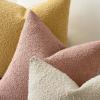 MIULEE 18×18 Inch Decorative Pillow Covers for Couch Bed Set of 2 Textured Boucle Neutral Winter Throw Pillows Orange Accent Solid Cushion Pillowcases Sofa Livingroom Home Decor(Blush Pink)