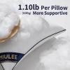 MIULEE 18×18 Pillow Inserts Set of 2 Throw Pillows 18 Inch Premium Down Alternative Pillow Inserts Decorative Pillow Stuffer for Sofa, Couch (18×18 inch, Set of 2)(4)