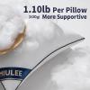 MIULEE 18×18 Pillow Inserts Set of 2 Throw Pillows 18 Inch Premium Down Alternative Pillow Inserts Decorative Pillow Stuffer for Sofa, Couch (18×18 inch, Set of 2)(2)