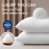 MIULEE 18×18 Pillow Inserts,Set of 2 100% Virgin Microfiber with Cotton Cover Throw Pillows for Couch Sofa and Bed(2)