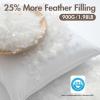 MIULEE 20×20 Pillow Inserts, Pack of 2 Down Feather Premium Throw Pillows with Cotton Fabric for Bed Couch Living Room Sofa(2)
