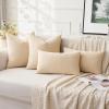 MIULEE Aqua Green Couch Pillow Covers 20×20 Inch, Set of 2 Soft Chenille Decorative Square Throw Pillow Covers Farmhouse for Sofa Living Room Bed(Beige)