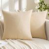 MIULEE Aqua Green Couch Pillow Covers 20×20 Inch, Set of 2 Soft Chenille Decorative Square Throw Pillow Covers Farmhouse for Sofa Living Room Bed(Beige)