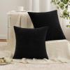 MIULEE Aqua Green Couch Pillow Covers 20×20 Inch, Set of 2 Soft Chenille Decorative Square Throw Pillow Covers Farmhouse for Sofa Living Room Bed(Black)