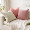 MIULEE Aqua Green Couch Pillow Covers 20×20 Inch, Set of 2 Soft Chenille Decorative Square Throw Pillow Covers Farmhouse for Sofa Living Room Bed(Coral Red)