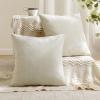 MIULEE Aqua Green Couch Pillow Covers 20×20 Inch, Set of 2 Soft Chenille Decorative Square Throw Pillow Covers Farmhouse for Sofa Living Room Bed(Cream)