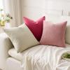MIULEE Aqua Green Couch Pillow Covers 20×20 Inch, Set of 2 Soft Chenille Decorative Square Throw Pillow Covers Farmhouse for Sofa Living Room Bed(Cream)