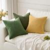 MIULEE Aqua Green Couch Pillow Covers 20×20 Inch, Set of 2 Soft Chenille Decorative Square Throw Pillow Covers Farmhouse for Sofa Living Room Bed(Gold)