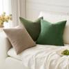 MIULEE Aqua Green Couch Pillow Covers 20×20 Inch, Set of 2 Soft Chenille Decorative Square Throw Pillow Covers Farmhouse for Sofa Living Room Bed(Moss Green)