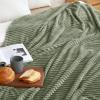 MIULEE Burnt Orange Fleece Blanket, Durable Plush Fuzzy Extra Soft Warm Cozy Striped Flannel Fall Throw Blanket for Couch Sofa Bed 30″x40″(Sage)