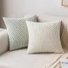 MIULEE Christmas Throw Pillow Covers Soft Corduroy Decorative Set of 2 Boho Striped Pillow Covers Pillowcases Farmhouse Home Decor for Couch Bed Sofa Living Room 18×18 Inch Pure White(Light Green)