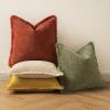 MIULEE Decorative Sage Green Throw Pillow Covers 18×18 Inch Set of 2 Soft Cozy Boho Farmhouse Couch Pillow Covers with Tassels Chenille Accent Pillowcases for Spring Sofa Bed Living Room Home Decor(Burnt Orange)