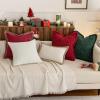 MIULEE Decorative Sage Green Throw Pillow Covers 18×18 Inch Set of 2 Soft Cozy Boho Farmhouse Couch Pillow Covers with Tassels Chenille Accent Pillowcases for Spring Sofa Bed Living Room Home Decor(Red)