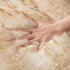 MIULEE Luxury Soft Fluffy Area Rug 3×5 Feet, Faux Fur Sheepskin Rug Decorative Plush Shaggy Carpet for Christmas Decor Bedside Sofa Floor Nursery, White(Frosted Tips Brown)