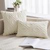 MIULEE Navy Blue Throw Pillow Covers 20×20 Inch, Soft Winter Plush Faux Wool Couch Pillow Covers Set of 2 Decorative Farmhouse Boho Throw Pillows for Sofa Living Room Bed(Cream White)
