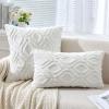 MIULEE Navy Blue Throw Pillow Covers 20×20 Inch, Soft Winter Plush Faux Wool Couch Pillow Covers Set of 2 Decorative Farmhouse Boho Throw Pillows for Sofa Living Room Bed(Ivory)