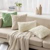 MIULEE Navy Blue Throw Pillow Covers 20×20 Inch, Soft Winter Plush Faux Wool Couch Pillow Covers Set of 2 Decorative Farmhouse Boho Throw Pillows for Sofa Living Room Bed(Cream White)