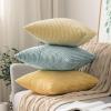 MIULEE Pack of 2 Burnt Orange Pillow Covers 18×18 Inch Soft Boho Striped Corduroy Throw Pillow Covers Set Decorative Square Cushion Cases Pillowcases for Sofa Bedroom Couch(Mint)