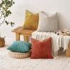 MIULEE Pack of 2 Christmas Couch Throw Pillow Covers 18×18 Inch Neutral Beige Modern Boho Accent Decorative Pillow Covers Soft Chenille Farmhouse Cushion Covers for Home Decor Bed Sofa Living Room(Aqua Green)
