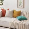 MIULEE Pack of 2 Christmas Couch Throw Pillow Covers 18×18 Inch Neutral Beige Modern Boho Accent Decorative Pillow Covers Soft Chenille Farmhouse Cushion Covers for Home Decor Bed Sofa Living Room(Aqua Green)
