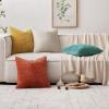 MIULEE Pack of 2 Christmas Couch Throw Pillow Covers 18×18 Inch Neutral Beige Modern Boho Accent Decorative Pillow Covers Soft Chenille Farmhouse Cushion Covers for Home Decor Bed Sofa Living Room(Aqua Green)
