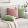 MIULEE Pack of 2 Corduroy Soft Soild Decorative Square Throw Pillow Covers Set Cushion Case for Sofa Bedroom Car 12×20 Inch Inch 30 x 50 cm(Blush Pink)