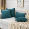 MIULEE Pack of 2 Couch Throw Pillow Covers 18×18 Inch Coastal Aqua Blue Farmhouse Decorative Pillow Covers with Stitched Edge Soft Chenille Solid Dyed Spring Pillow Covers for Sofa Bed Living Room(Dark Teal)
