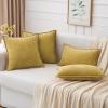 MIULEE Pack of 2 Couch Throw Pillow Covers 18×18 Inch Coastal Aqua Blue Farmhouse Decorative Pillow Covers with Stitched Edge Soft Chenille Solid Dyed Spring Pillow Covers for Sofa Bed Living Room(Mustard Yellow)