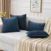 MIULEE Pack of 2 Couch Throw Pillow Covers 18×18 Inch Coastal Aqua Blue Farmhouse Decorative Pillow Covers with Stitched Edge Soft Chenille Solid Dyed Spring Pillow Covers for Sofa Bed Living Room(Dark Blue)