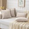 MIULEE Pack of 2 Couch Throw Pillow Covers 18×18 Inch Coastal Aqua Blue Farmhouse Decorative Pillow Covers with Stitched Edge Soft Chenille Solid Dyed Spring Pillow Covers for Sofa Bed Living Room(Natural Beige)