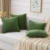 MIULEE Pack of 2 Couch Throw Pillow Covers 18×18 Inch Dark Teal Farmhouse Decorative Pillow Covers with Stitched Edge Soft Chenille Solid Dyed Spring Pillow Covers for Sofa Bed Living Room(Moss Green)