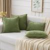 MIULEE Pack of 2 Couch Throw Pillow Covers 18×18 Inch Dark Teal Farmhouse Decorative Pillow Covers with Stitched Edge Soft Chenille Solid Dyed Spring Pillow Covers for Sofa Bed Living Room(Sage Green)
