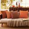 MIULEE Pack of 2 Luxury Faux Fur Throw Pillow Cover Deluxe Winter Decorative Plush Pillow Case Cushion Cover Shell for Sofa Bedroom Car 16 x 16 Inch Beige(Burnt Orange)