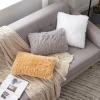 MIULEE Pack of 2 Luxury Faux Fur Throw Pillow Cover Deluxe Winter Decorative Plush Pillow Case Cushion Cover Shell for Sofa Bedroom Car 16 x 16 Inch Beige(White)