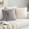 MIULEE Pack of 2 Luxury Faux Fur Throw Pillow Cover Deluxe Winter Decorative Plush Pillow Case Cushion Cover Shell for Sofa Bedroom Car 16 x 16 Inch Beige(Grey)