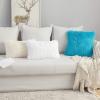 MIULEE Pack of 2 Luxury Faux Fur Throw Pillow Cover Deluxe Winter Decorative Plush Pillow Case Cushion Cover Shell for Sofa Bedroom Car 16 x 16 Inch Beige(Little Blue)