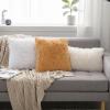 MIULEE Pack of 2 Luxury Faux Fur Throw Pillow Cover Deluxe Winter Decorative Plush Pillow Case Cushion Cover Shell for Sofa Bedroom Car 16 x 16 Inch Beige(White)