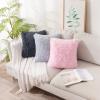 MIULEE Pack of 2 Luxury Faux Fur Throw Pillow Cover Deluxe Winter Decorative Plush Pillow Case Cushion Cover Shell for Sofa Bedroom Car 16 x 16 Inch Beige(Pink)