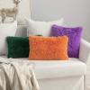 MIULEE Pack of 2 Luxury Faux Fur Throw Pillow Cover Deluxe Winter Decorative Plush Pillow Case Cushion Cover Shell for Sofa Bedroom Car 16 x 16 Inch Beige(Purple)