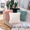 MIULEE Pack of 2 Luxury Faux Fur Throw Pillow Cover Deluxe Winter Decorative Plush Pillow Case Cushion Cover Shell for Sofa Bedroom Car 16 x 16 Inch Beige(Beige)