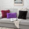 MIULEE Pack of 2 Luxury Faux Fur Throw Pillow Cover Deluxe Winter Decorative Plush Pillow Case Cushion Cover Shell for Sofa Bedroom Car 16 x 16 Inch Beige(Black)