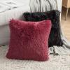 MIULEE Pack of 2 Luxury Faux Fur Throw Pillow Cover Deluxe Winter Decorative Plush Pillow Case Cushion Cover Shell for Sofa Bedroom Car 16 x 16 Inch Beige(Black)