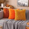 MIULEE Pack of 2 Luxury Faux Fur Throw Pillow Cover Deluxe Winter Decorative Plush Pillow Case Cushion Cover Shell for Sofa Bedroom Car 16 x 16 Inch Beige(Orange)
