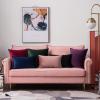 MIULEE Pack of 2 Navy Blue Decorative Velvet Throw Pillow Cover Soft Pillow Cover Soild Square Cushion Case for Sofa Bedroom Car 18x 18 Inch 45x 45cm(Army Green)