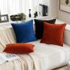 MIULEE Pack of 2 Navy Blue Decorative Velvet Throw Pillow Cover Soft Pillow Cover Soild Square Cushion Case for Sofa Bedroom Car 18x 18 Inch 45x 45cm(Burnt Orange)