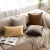 MIULEE Pack of 2 Navy Blue Decorative Velvet Throw Pillow Cover Soft Pillow Cover Soild Square Cushion Case for Sofa Bedroom Car 18x 18 Inch 45x 45cm(Dark Coffee)